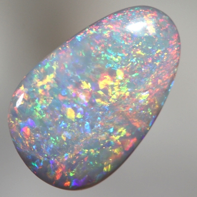SOLID SEMI BLACK OPAL Bright Floral Harlequin pattern With VIDEO
